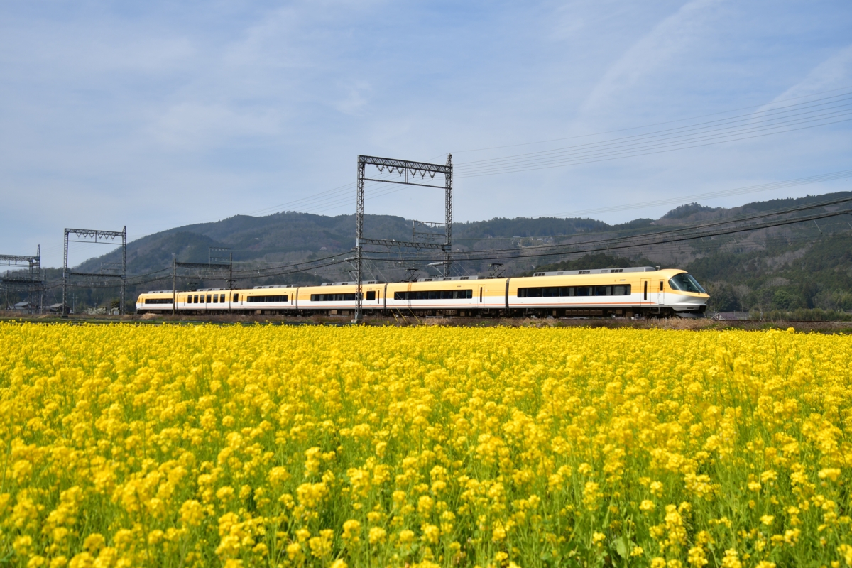 撮影・菜の花・近鉄大阪線・赤目口