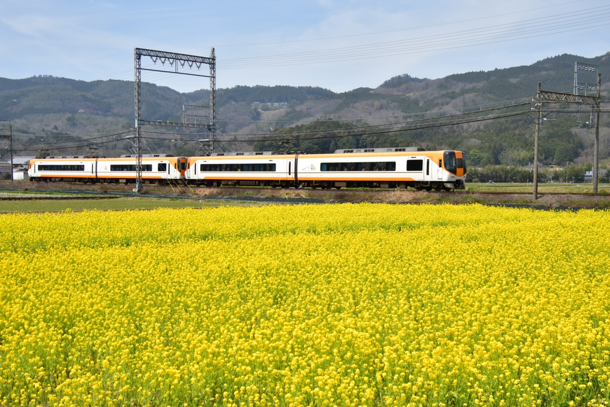 撮影・菜の花・近鉄大阪線・赤目口