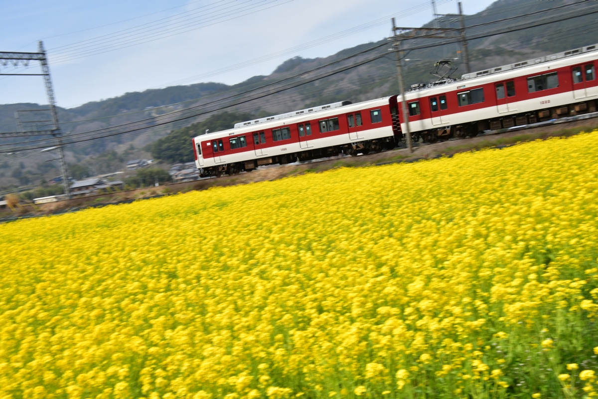 撮影・菜の花・近鉄大阪線・赤目口