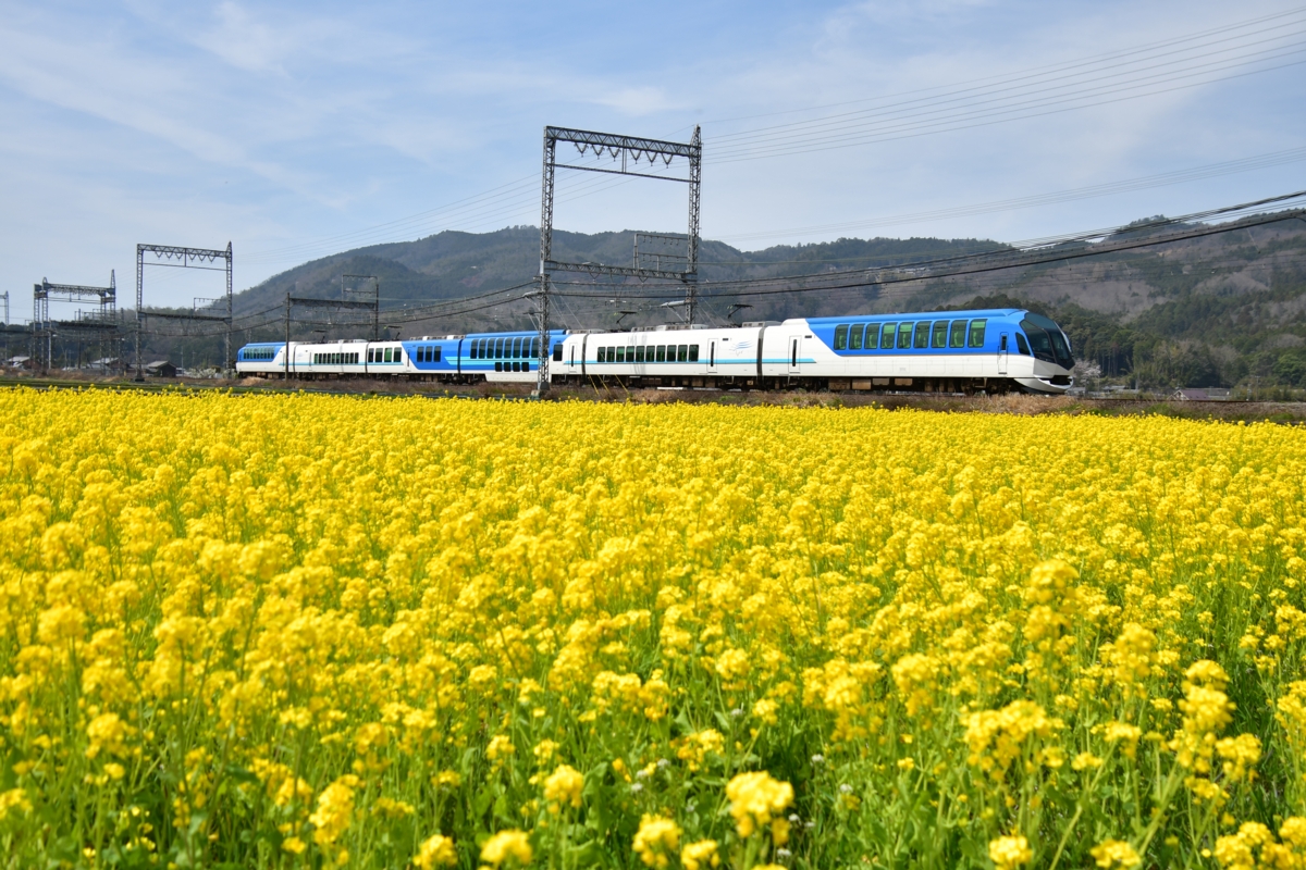 撮影・菜の花・近鉄大阪線・赤目口