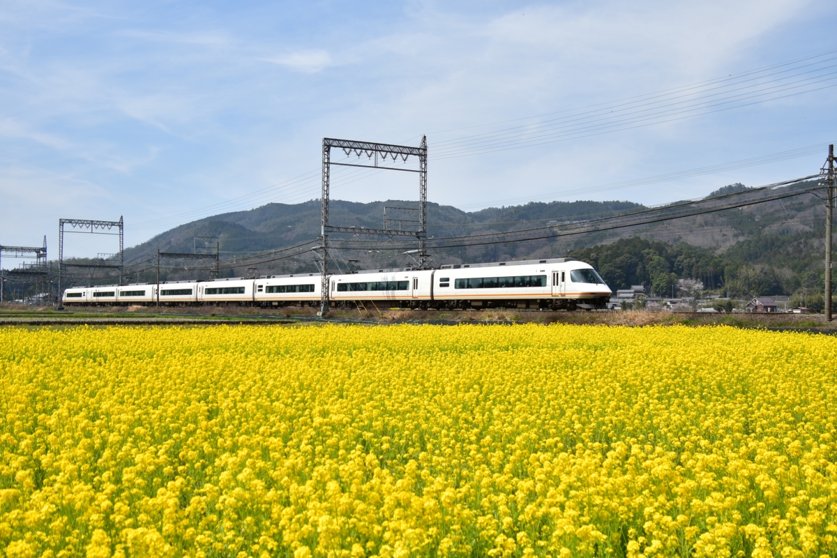 撮影・菜の花・近鉄大阪線・赤目口