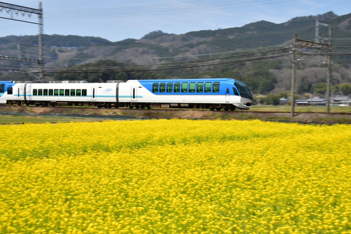 撮影・菜の花・近鉄大阪線・赤目口