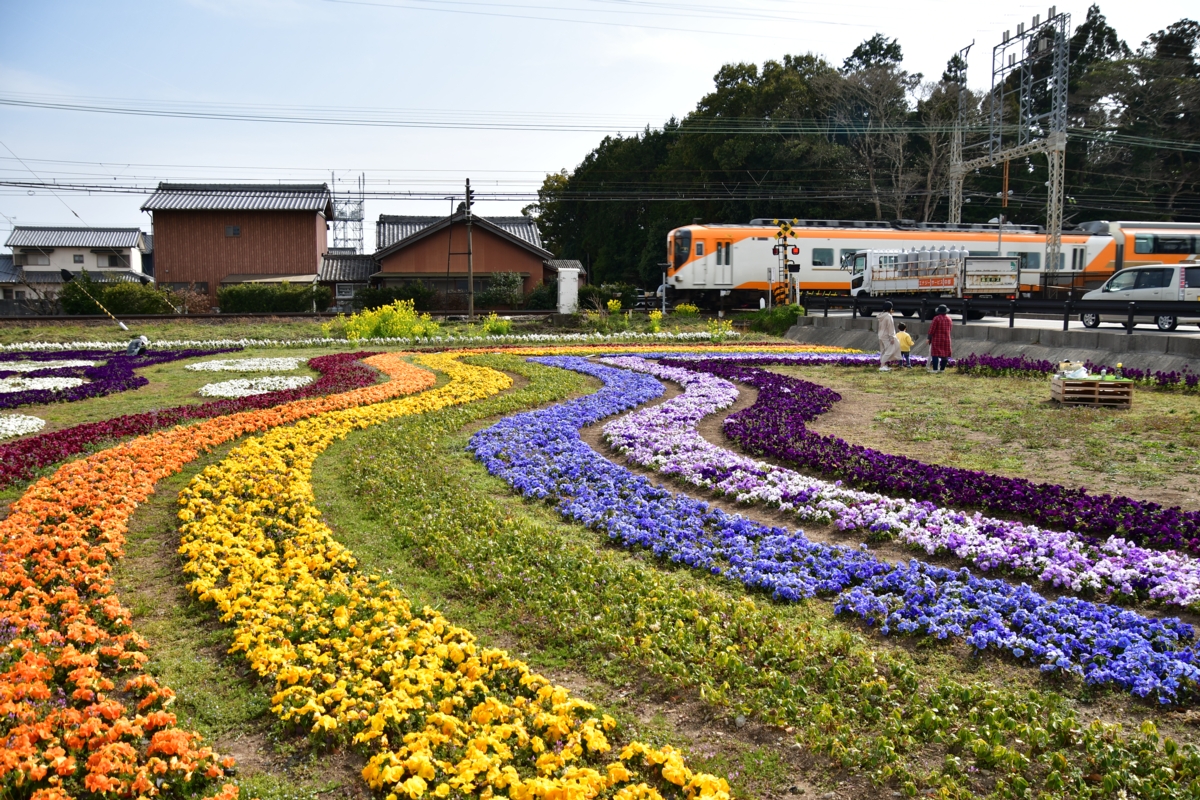 撮影・近鉄山田線・斎宮・花・春