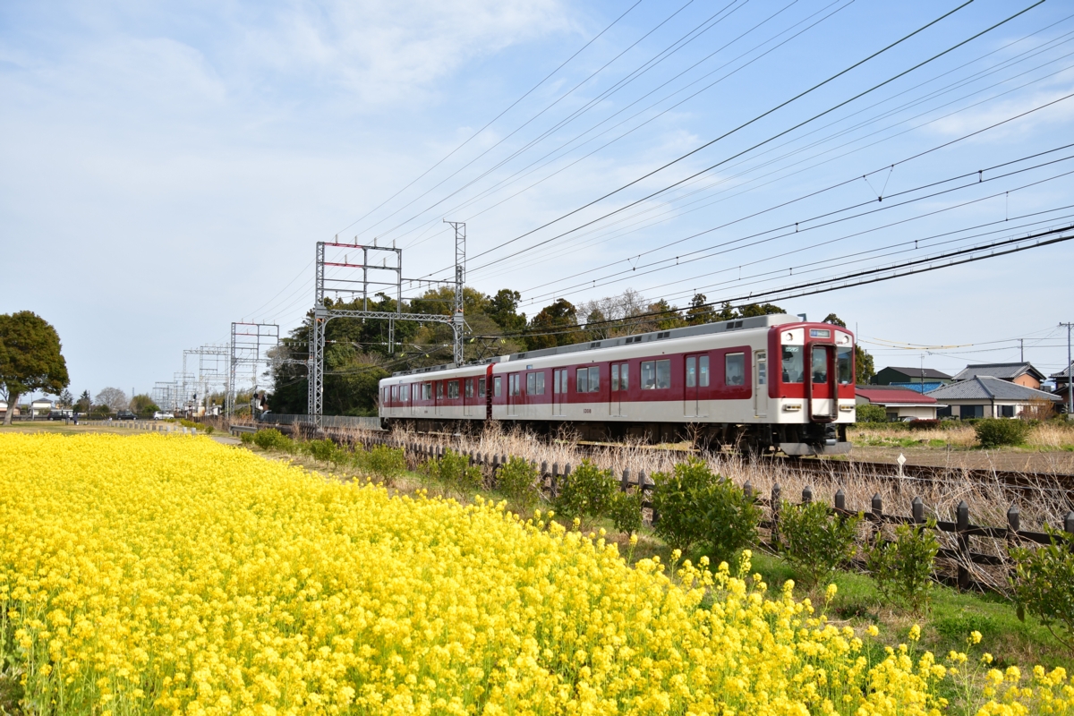 撮影・近鉄山田線・斎宮・菜の花