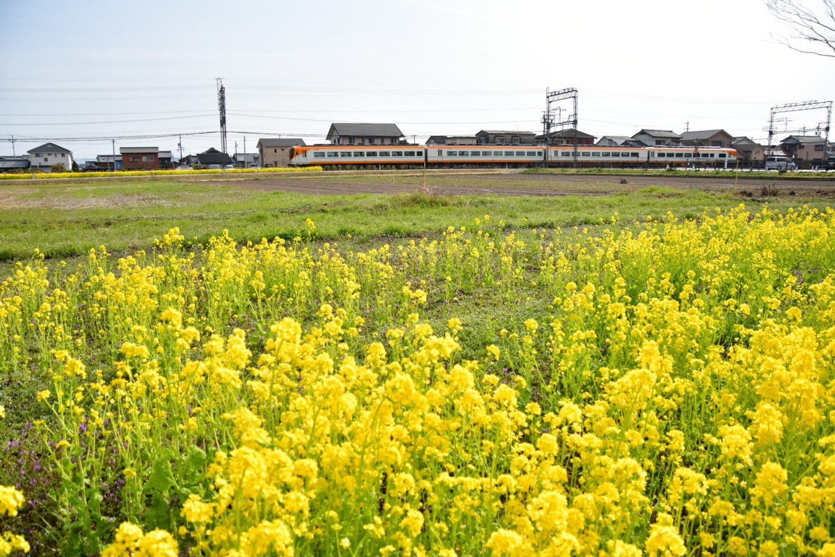 撮影・近鉄山田線・斎宮・菜の花