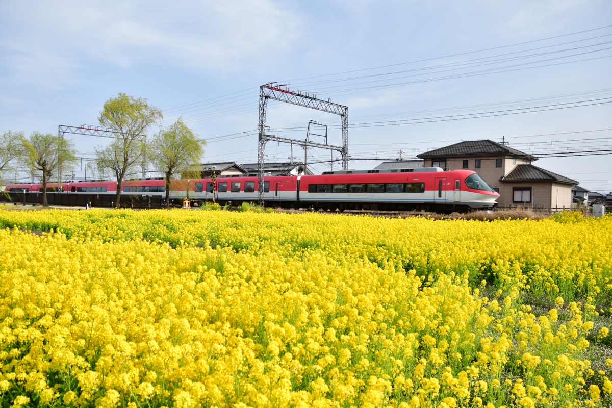 撮影・近鉄山田線・斎宮・菜の花