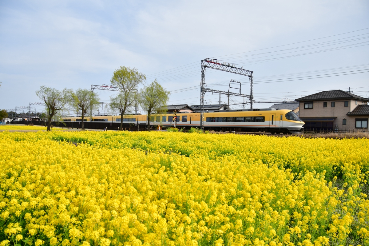 撮影・近鉄山田線・斎宮・菜の花