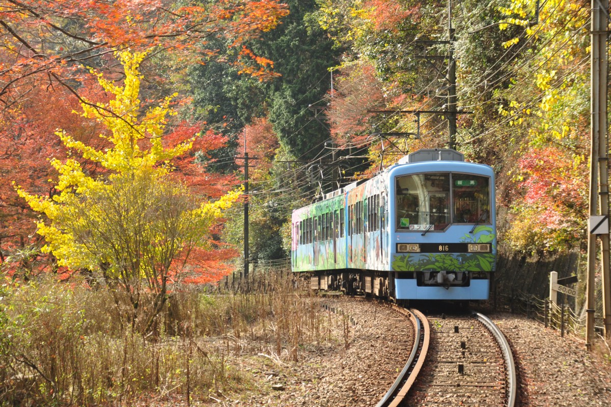 撮影・紅葉・叡山電車・貴船口