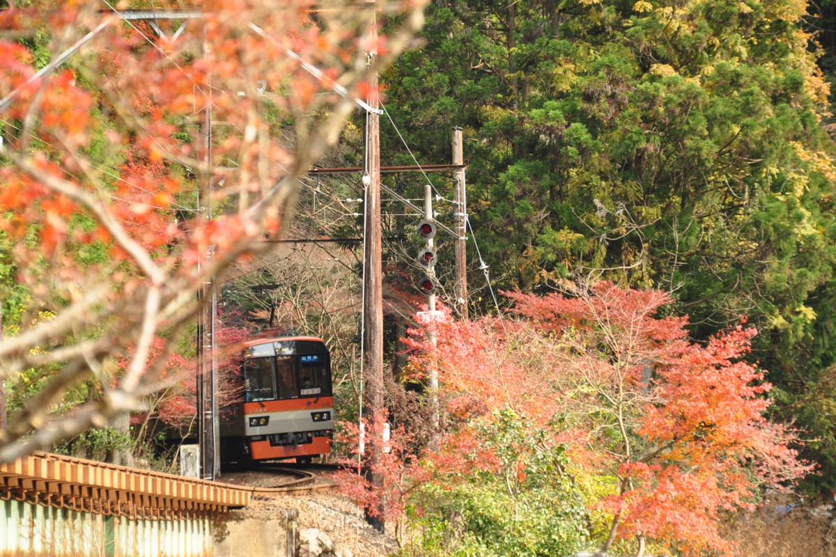 撮影・紅葉・叡山電車・貴船口