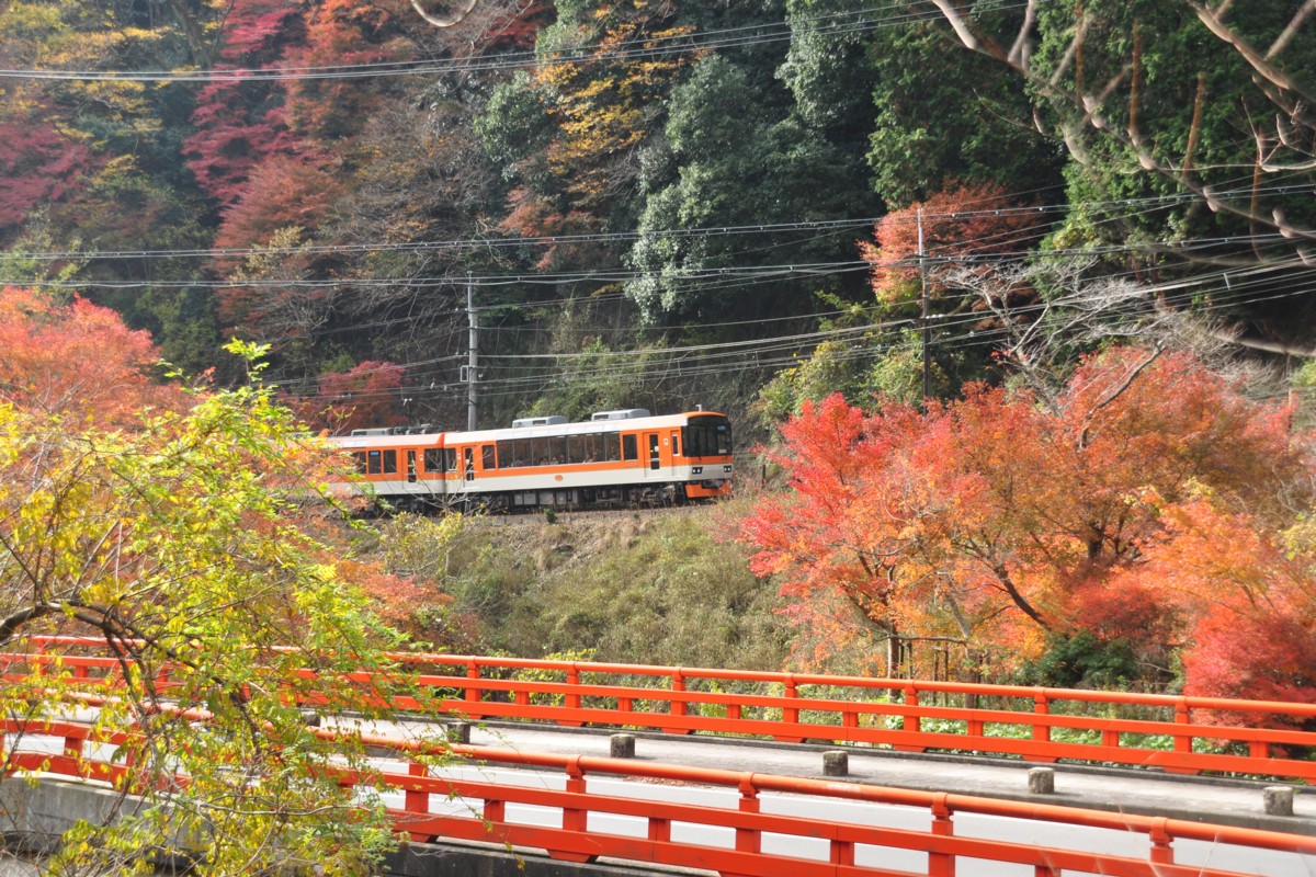 撮影・紅葉・叡山電車・貴船口