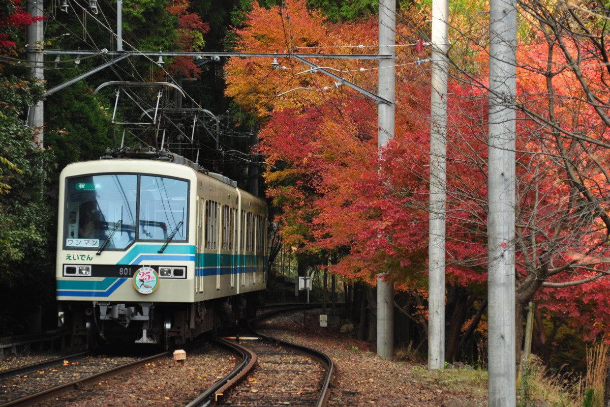 撮影・紅葉・叡山電車・二ノ瀬