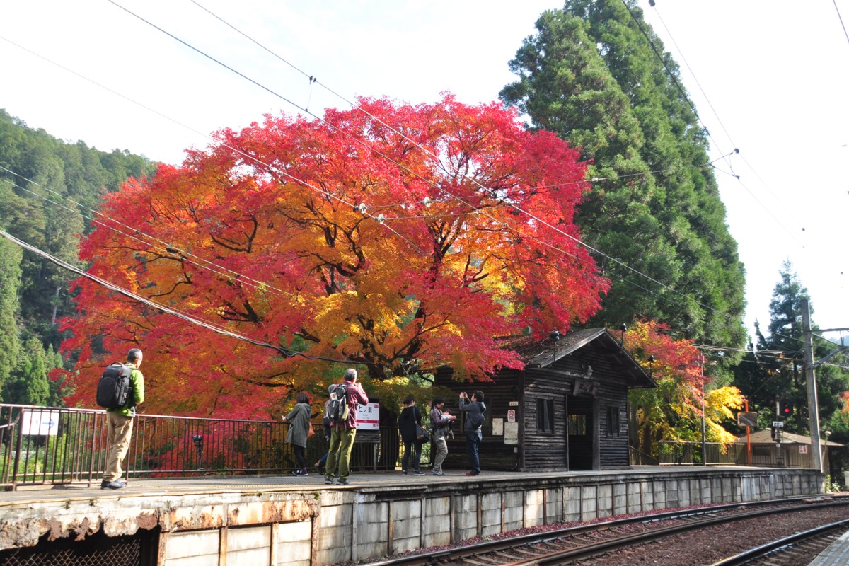 撮影・紅葉・叡山電車・二ノ瀬