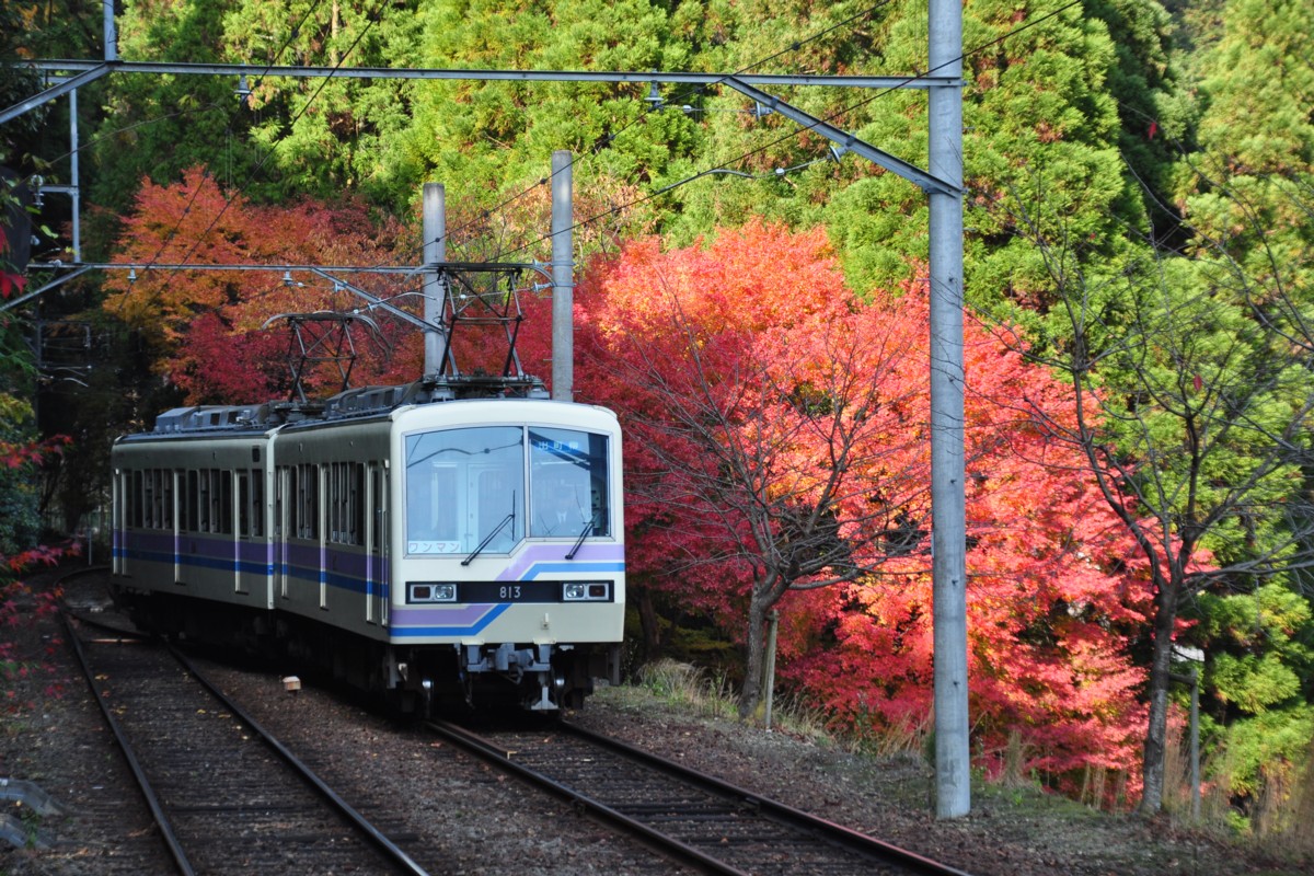 撮影・紅葉・叡山電車・二ノ瀬