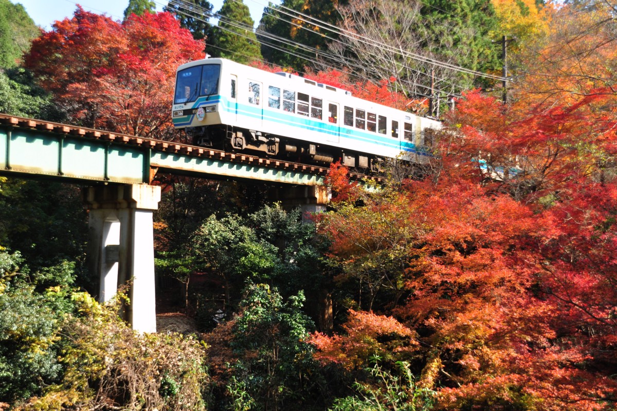 撮影・紅葉・叡山電車・市原－二ノ瀬