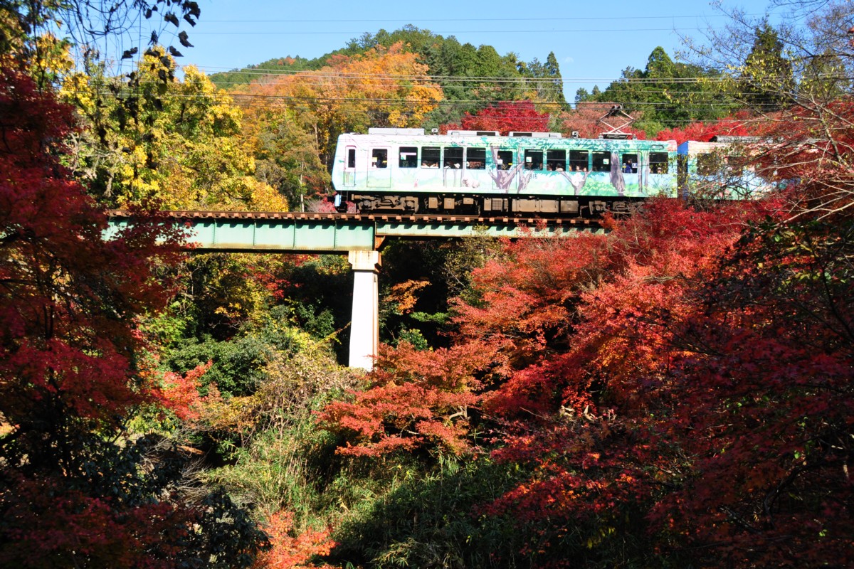 撮影・紅葉・叡山電車・市原－二ノ瀬