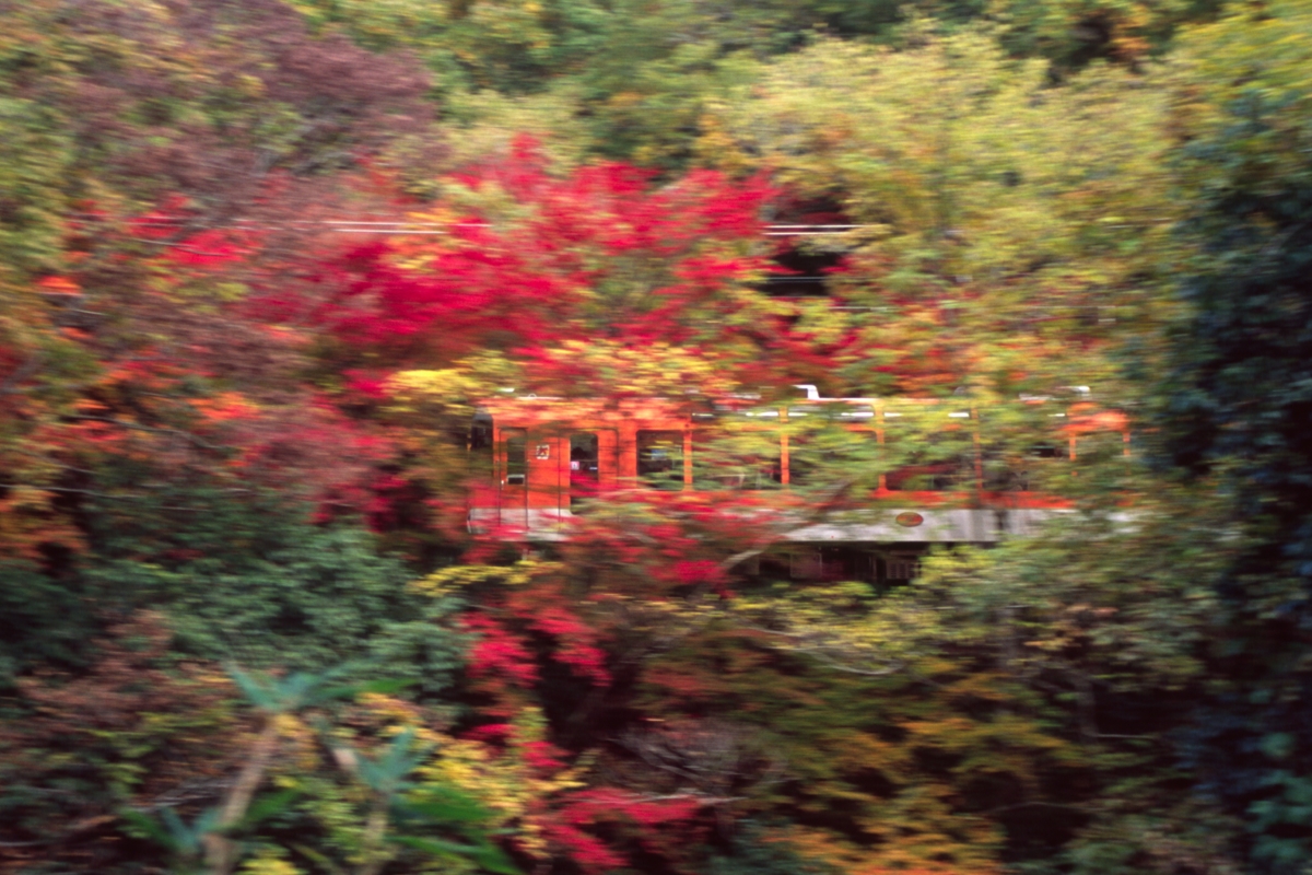 撮影・紅葉・叡山電車・市原－二ノ瀬