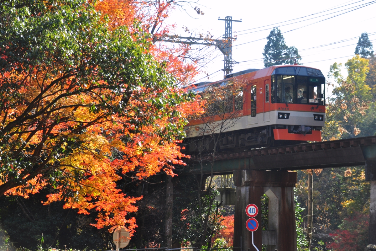 撮影・紅葉・叡山電車・市原－二ノ瀬