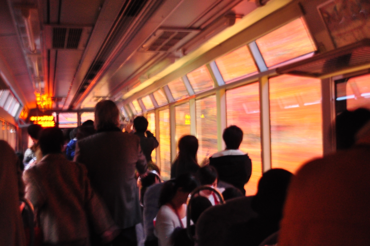 撮影・紅葉・叡山電車・もみじのトンネル