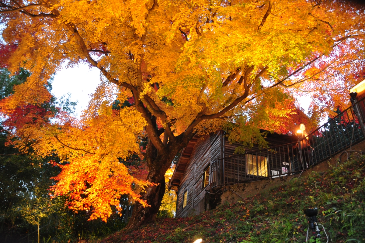 撮影・紅葉・叡山電車・二ノ瀬