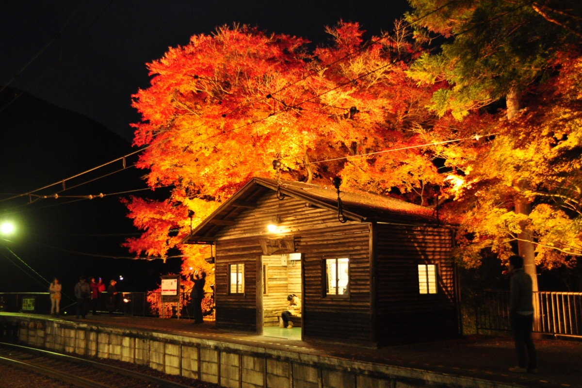 撮影・紅葉・叡山電車・二ノ瀬