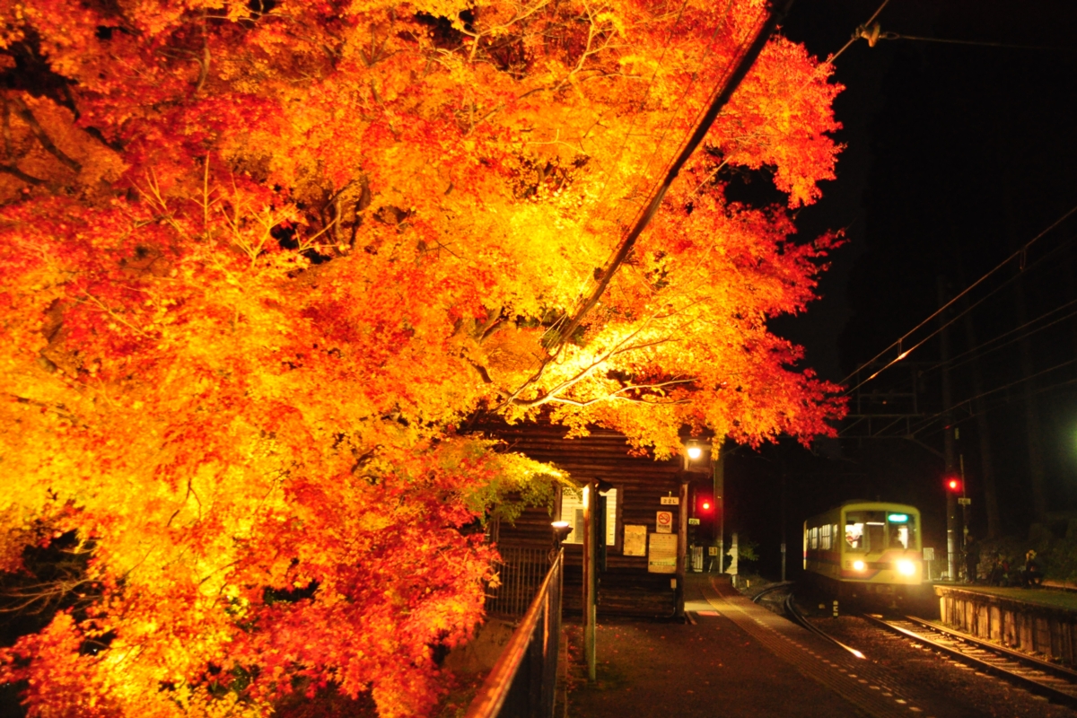 撮影・紅葉・叡山電車・二ノ瀬