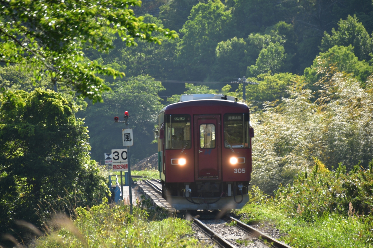 撮影・新緑・長良川鉄道・八坂
