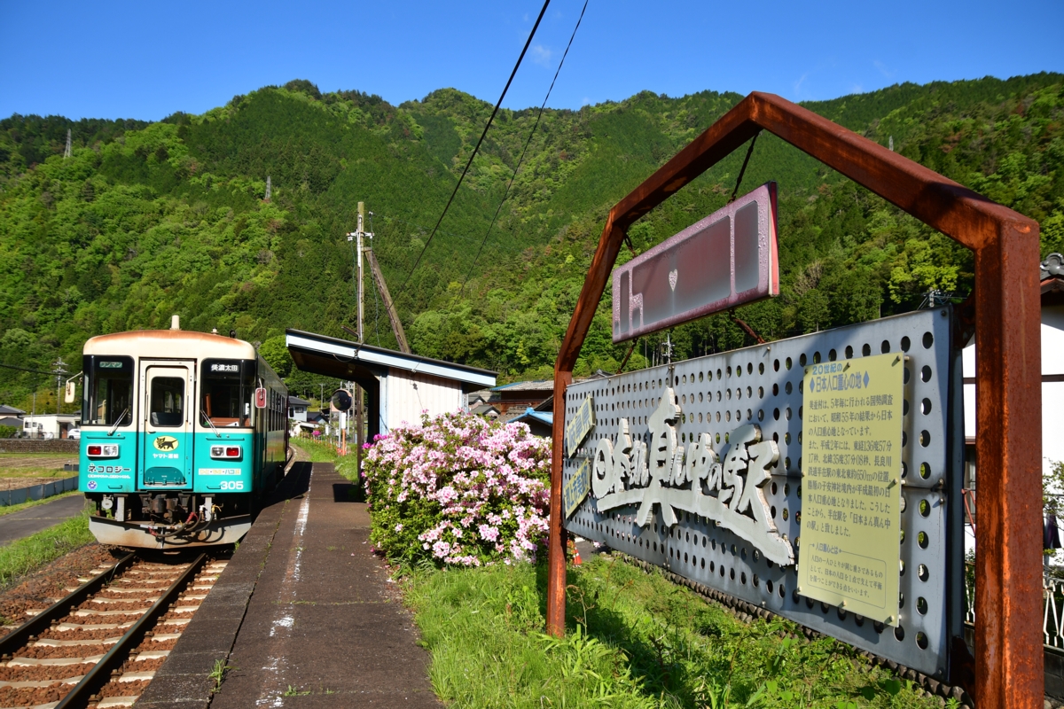 撮影・新緑・長良川鉄道・八坂