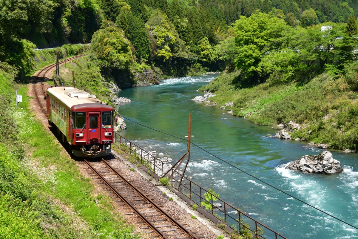撮影・新緑・長良川鉄道・相生－郡上八幡
