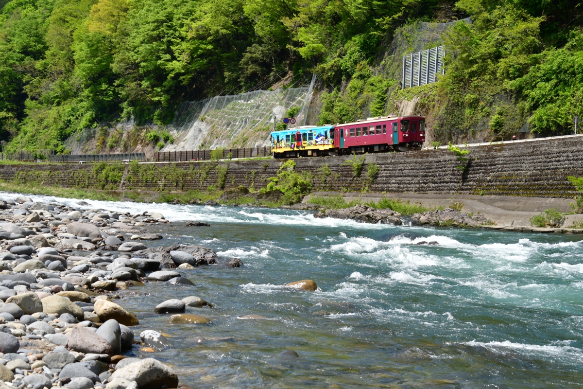 撮影・新緑・長良川鉄道・自然園前－山田