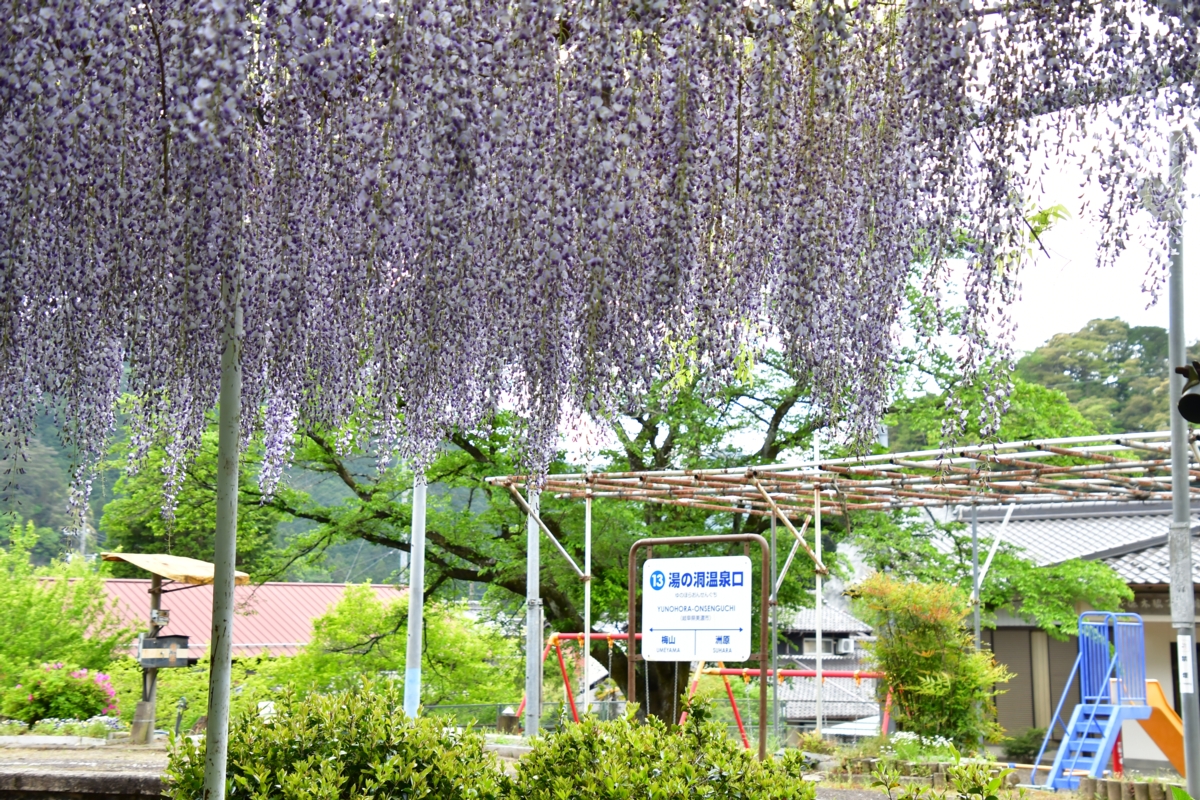 撮影・新緑・長良川鉄道・湯の洞温泉口