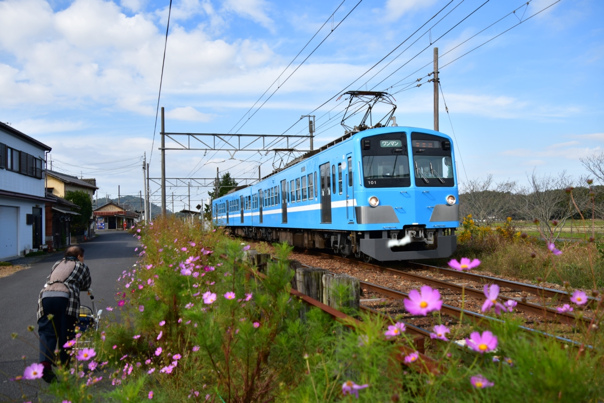 鉄道写真・コスモス・撮影地：近江鉄道本線・桜川