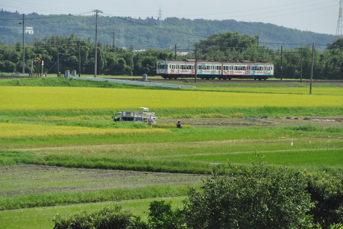 撮影・三岐鉄道三岐線・山城－保々