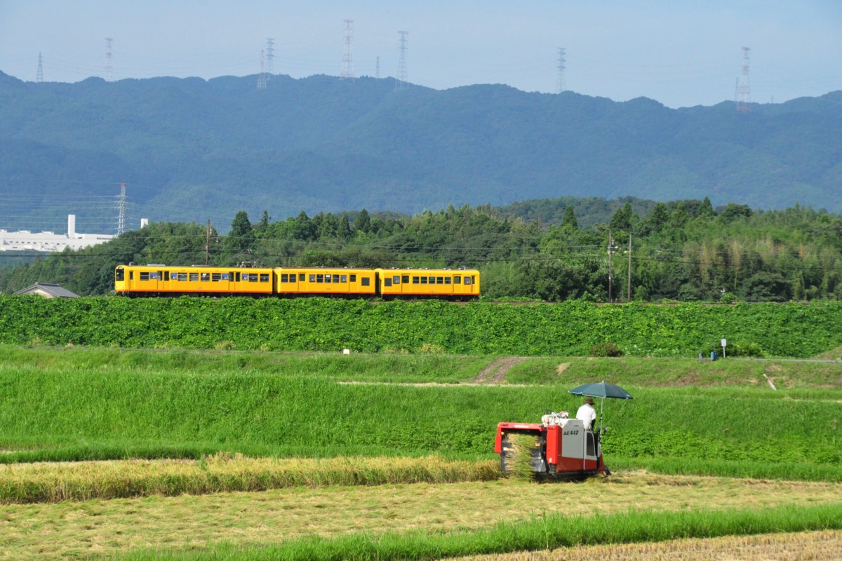 撮影・三岐鉄道北勢線・楚原－麻生田