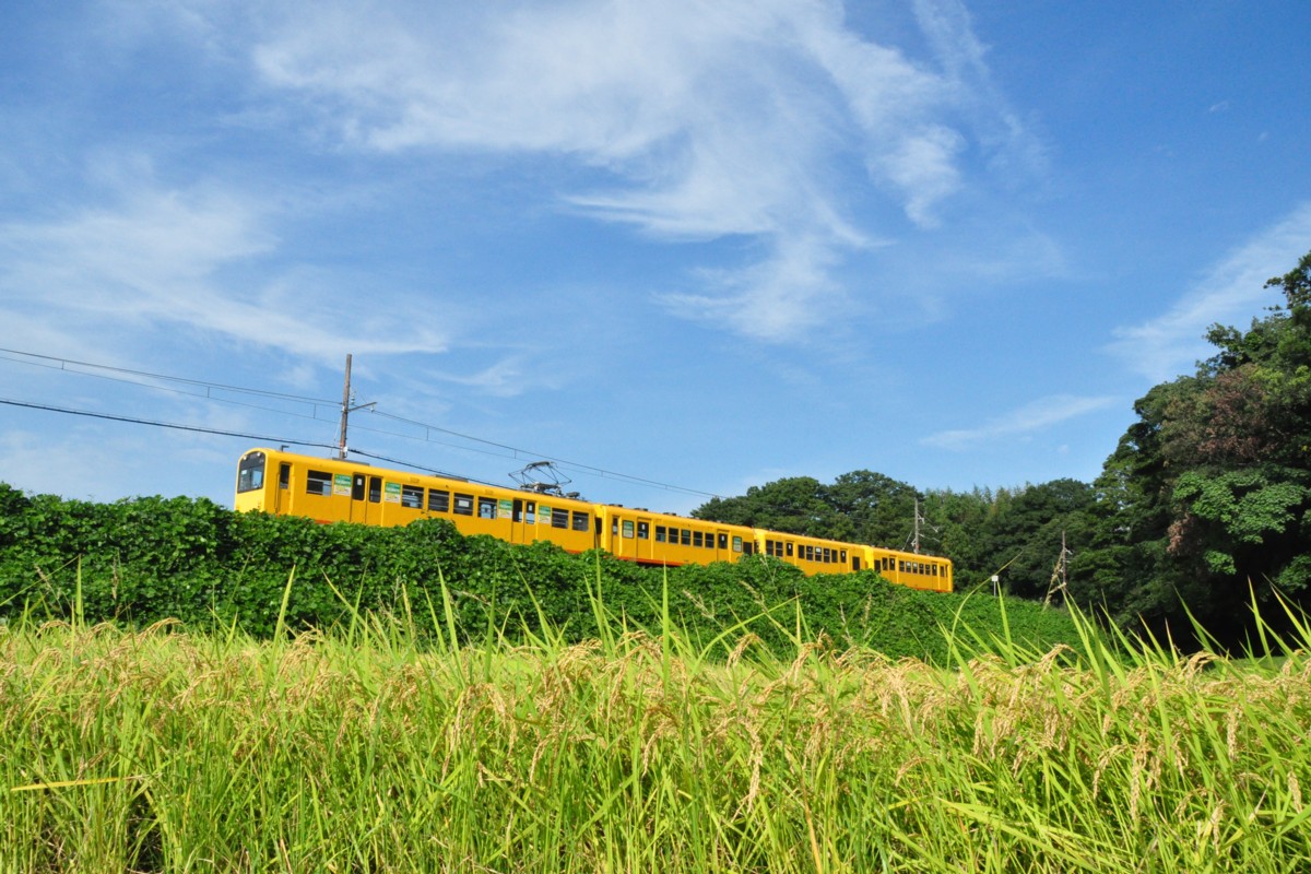 撮影・三岐鉄道北勢線・楚原－麻生田