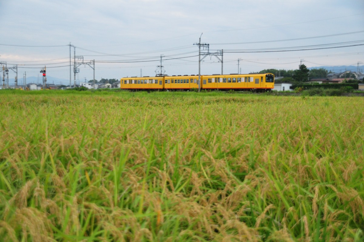 撮影・三岐鉄道北勢線・穴太－東員