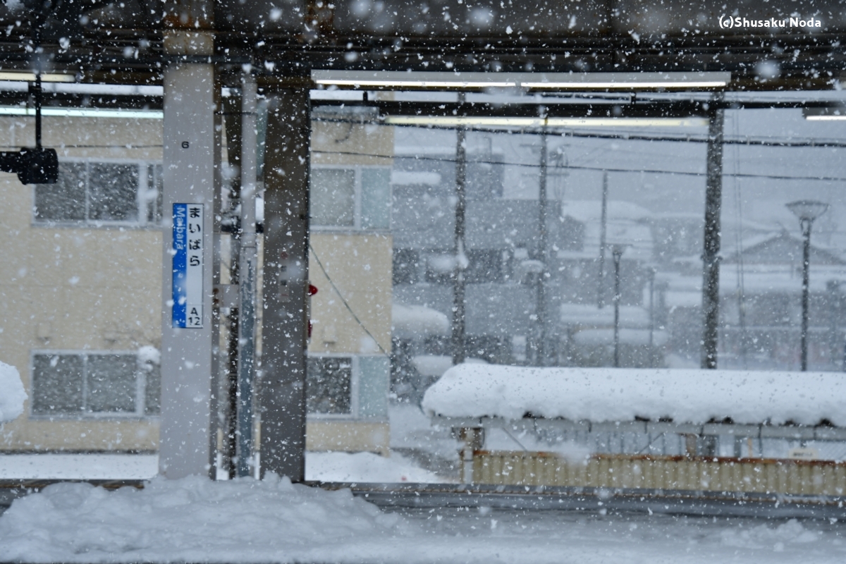 鉄道写真・雪景色・撮影地：米原駅