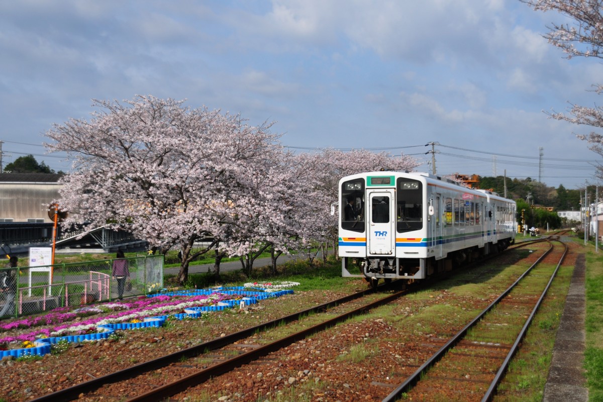 撮影・天竜浜名湖鉄道・桜木