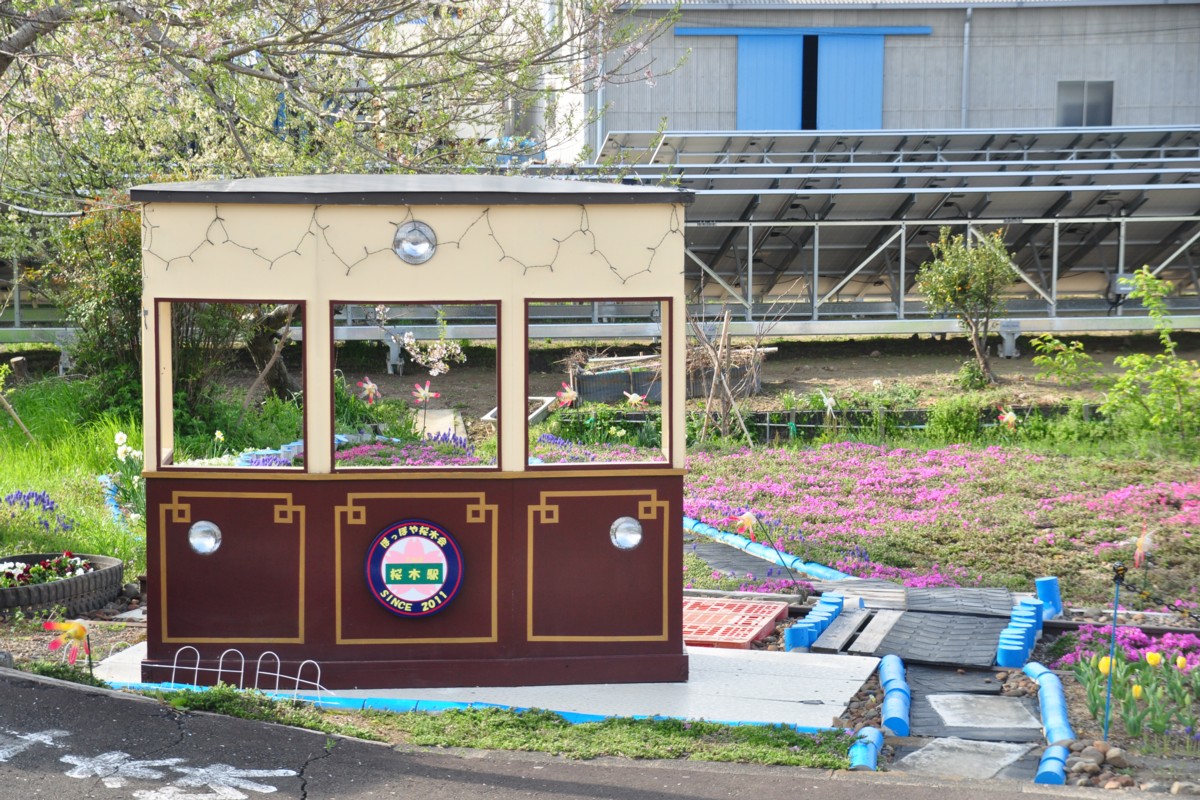撮影・天竜浜名湖鉄道・桜木