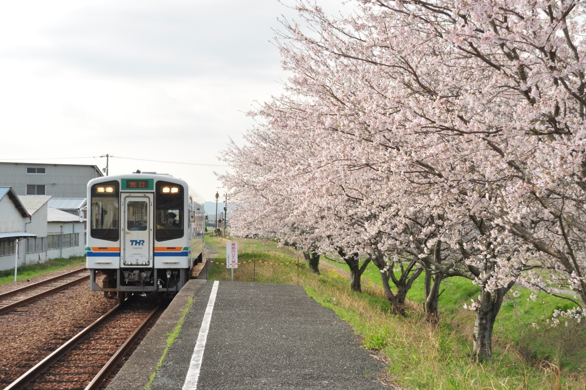撮影・天竜浜名湖鉄道・原谷