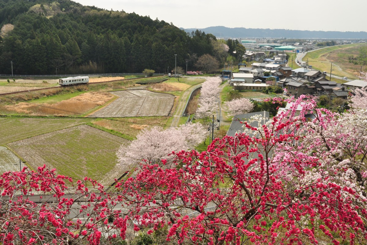 撮影・天竜浜名湖鉄道・上野部－天竜二俣