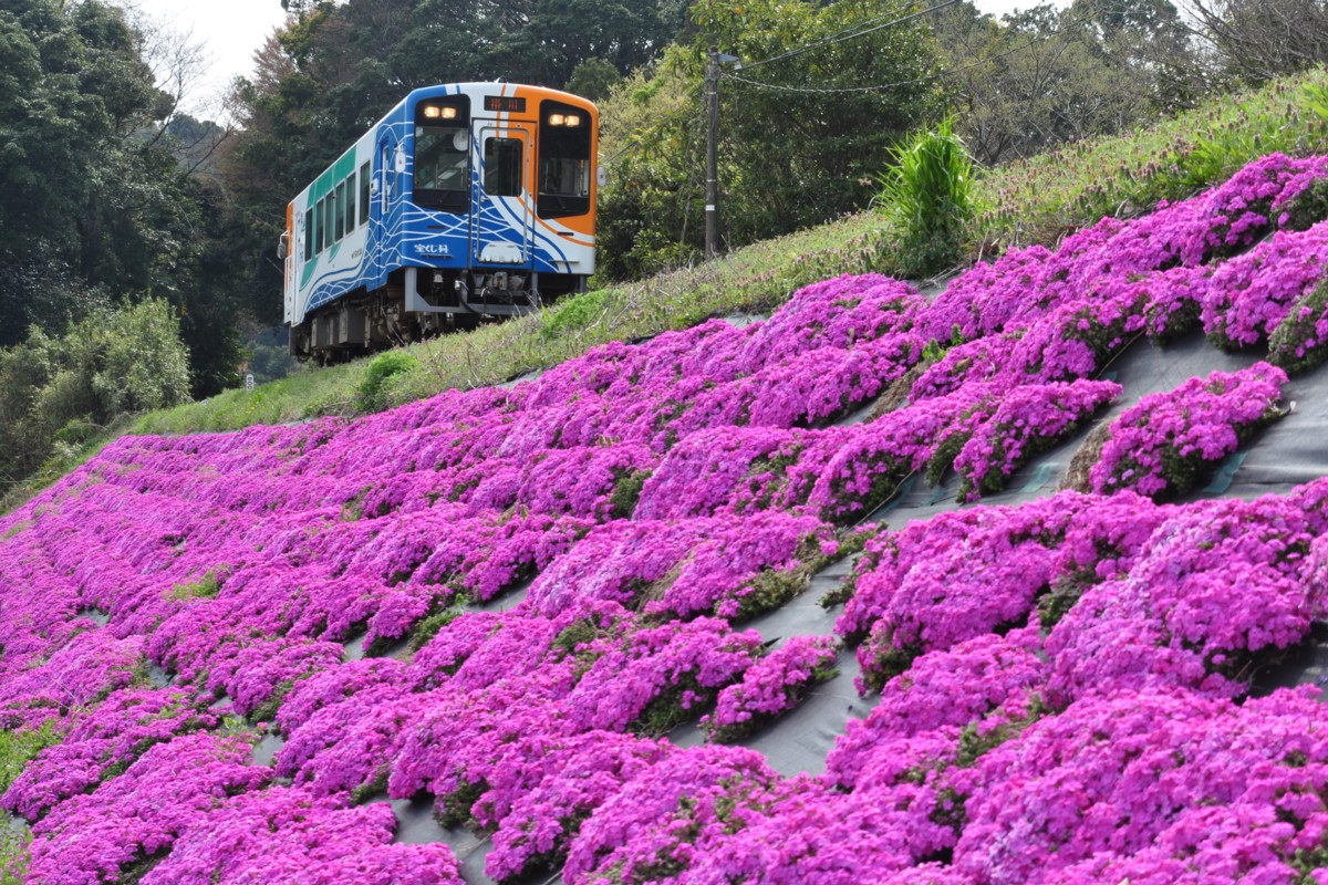 撮影・天竜浜名湖鉄道・尾奈－奥浜名湖
