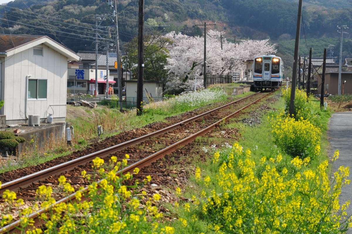 撮影・天竜浜名湖鉄道・尾奈