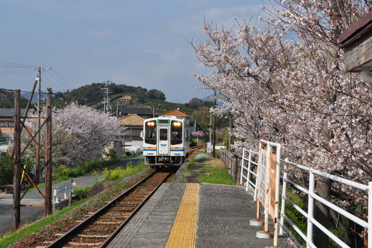 撮影・天竜浜名湖鉄道・尾奈