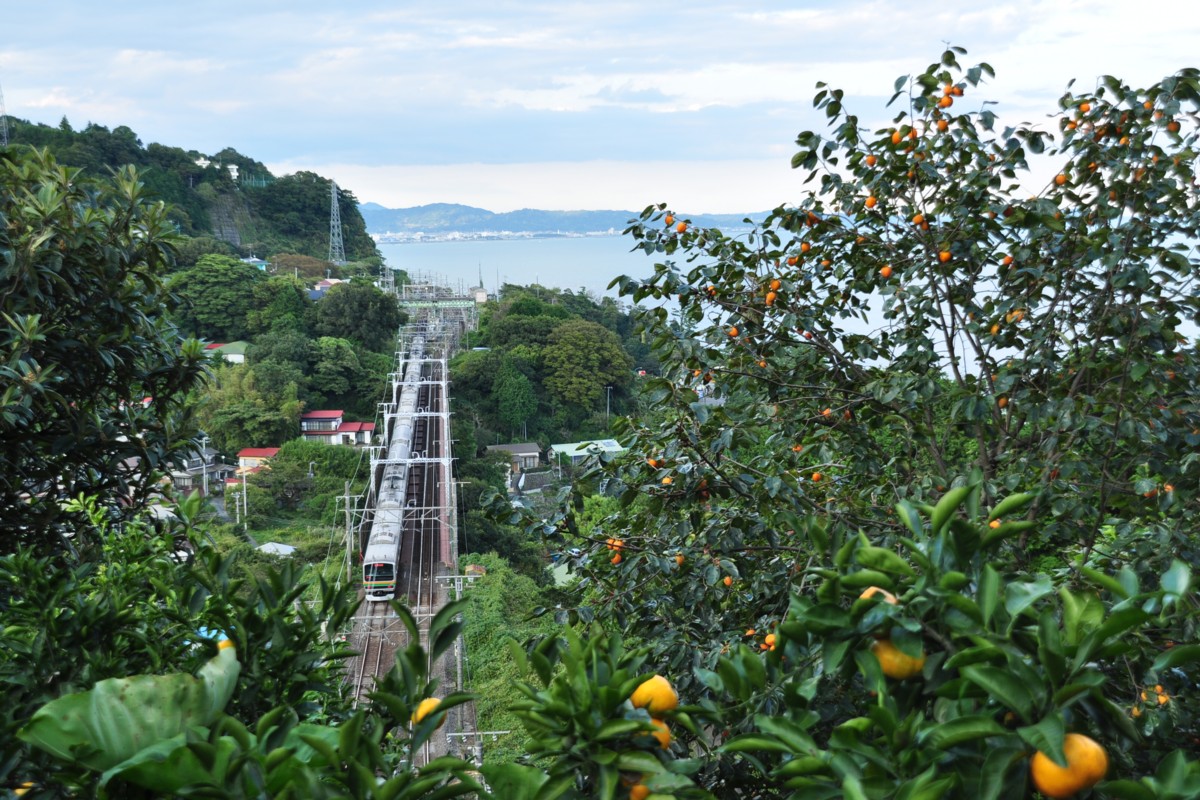 撮影・東海道本線・根府川－真鶴