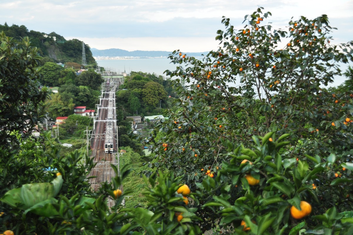 撮影・東海道本線・根府川－真鶴