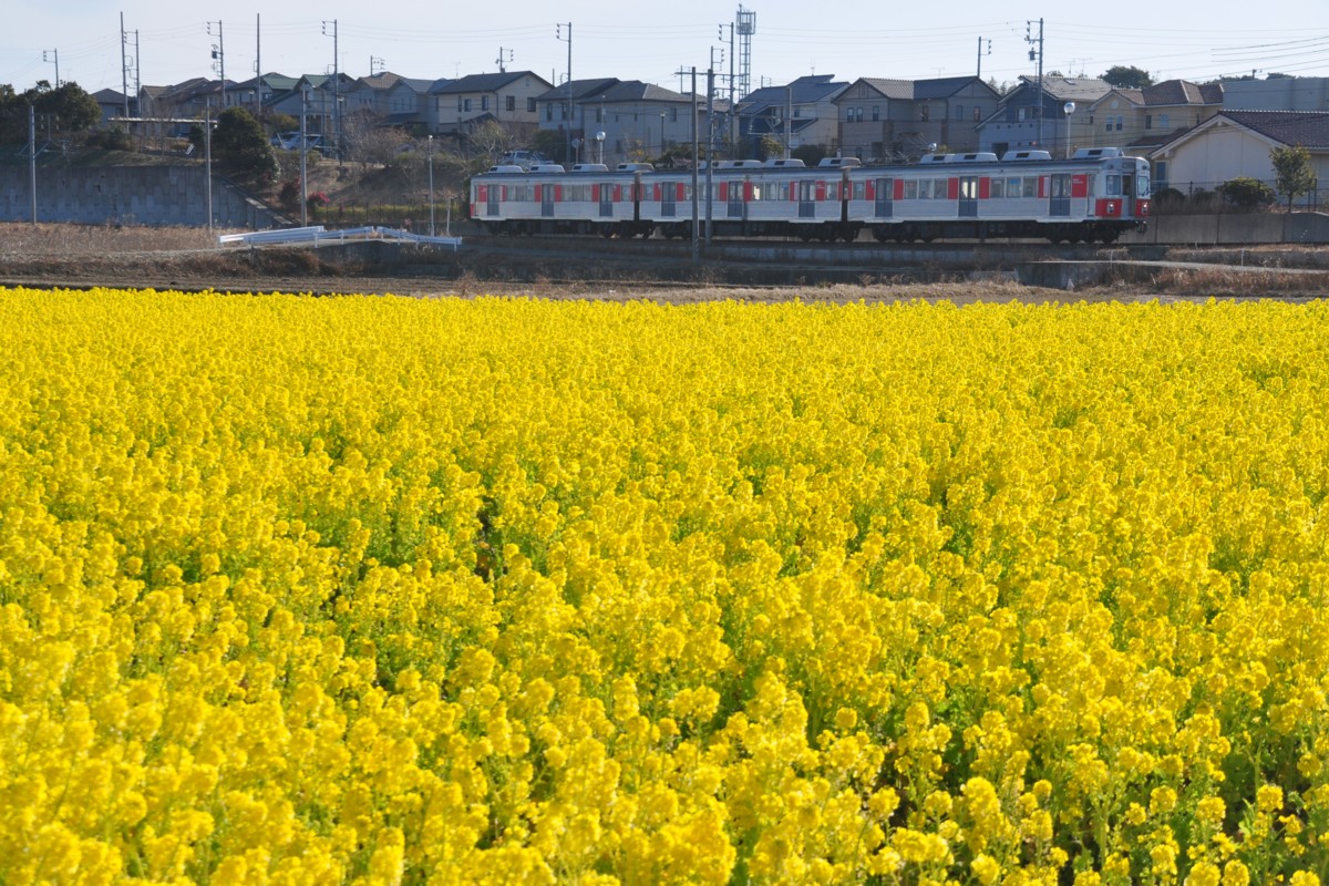 撮影・豊橋鉄道渥美線・杉山－やぐま台