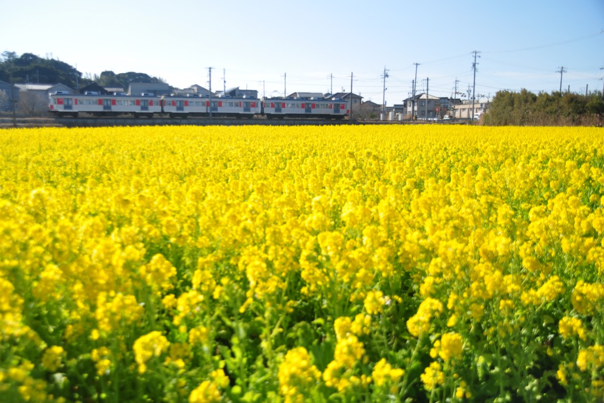 撮影・豊橋鉄道渥美線・杉山－やぐま台