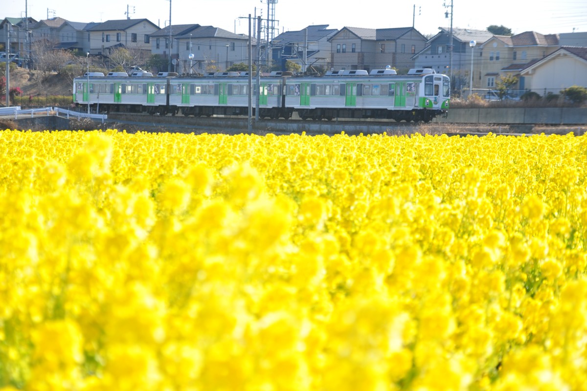 撮影・豊橋鉄道渥美線・杉山－やぐま台