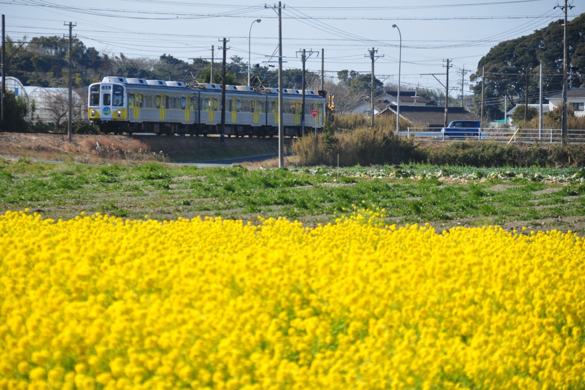 撮影・豊橋鉄道渥美線・やぐま台－豊島