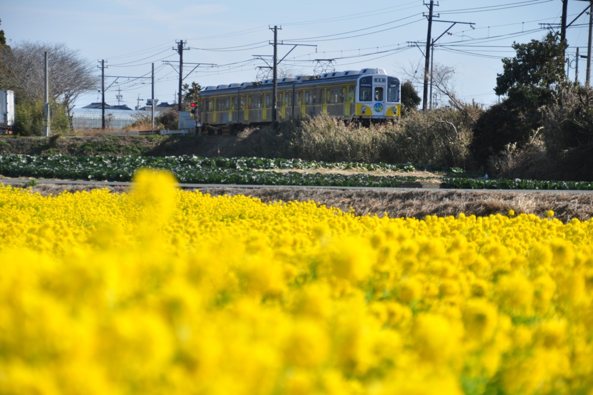 撮影・豊橋鉄道渥美線・やぐま台－豊島